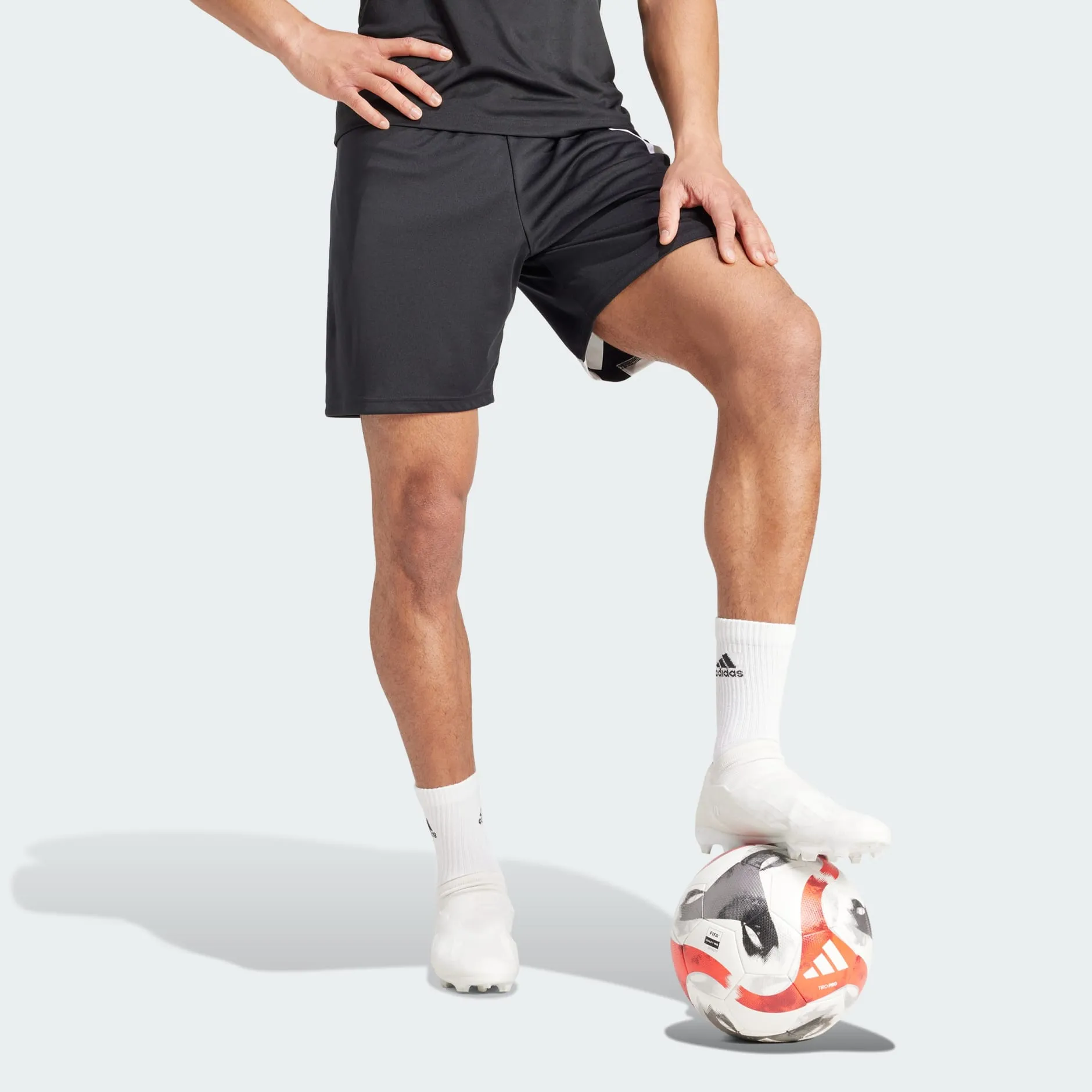 FORTORE 23 SHORTS - Black / White