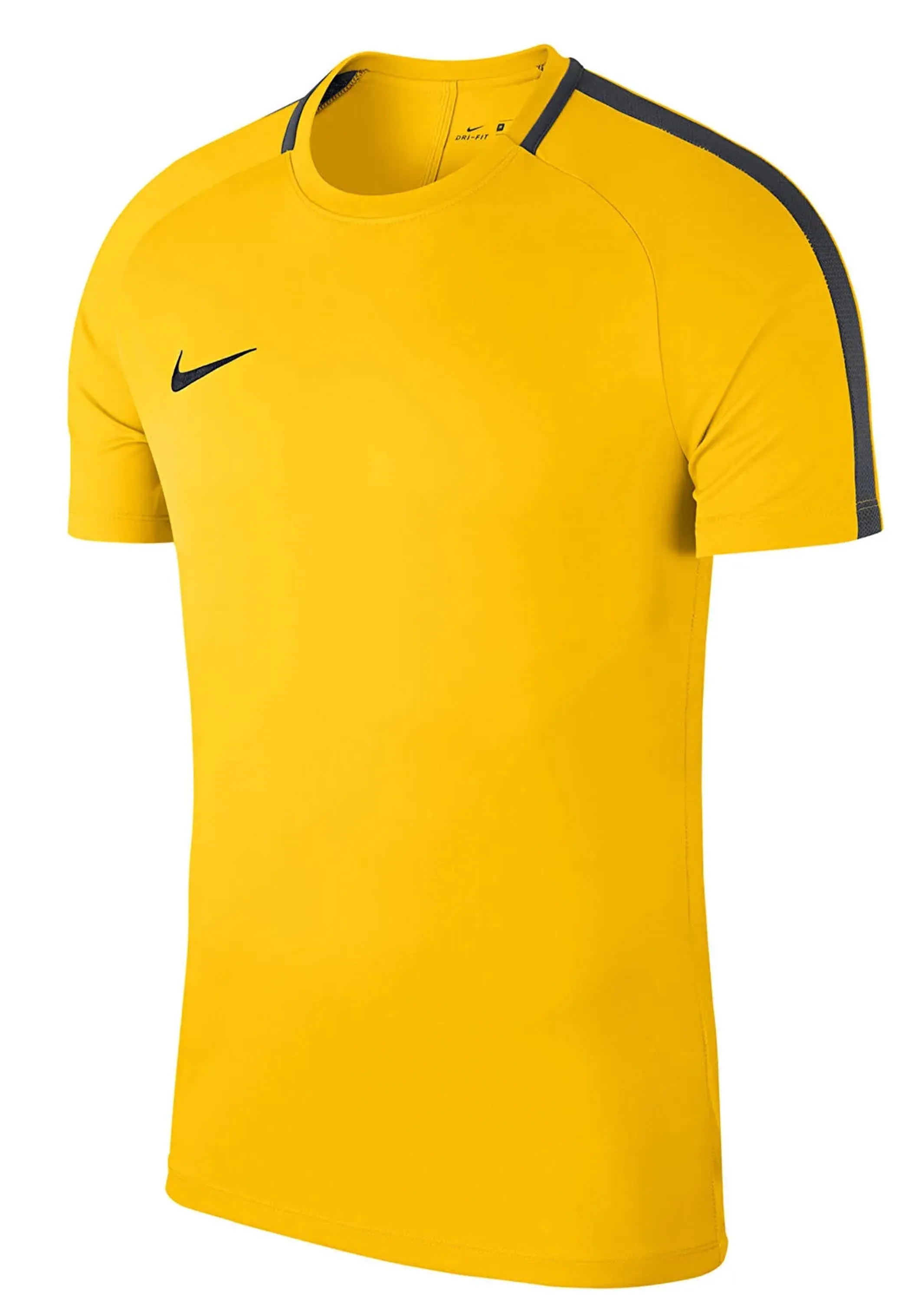 Nike Men's Academy 18 S/S Top <br> 893693 719