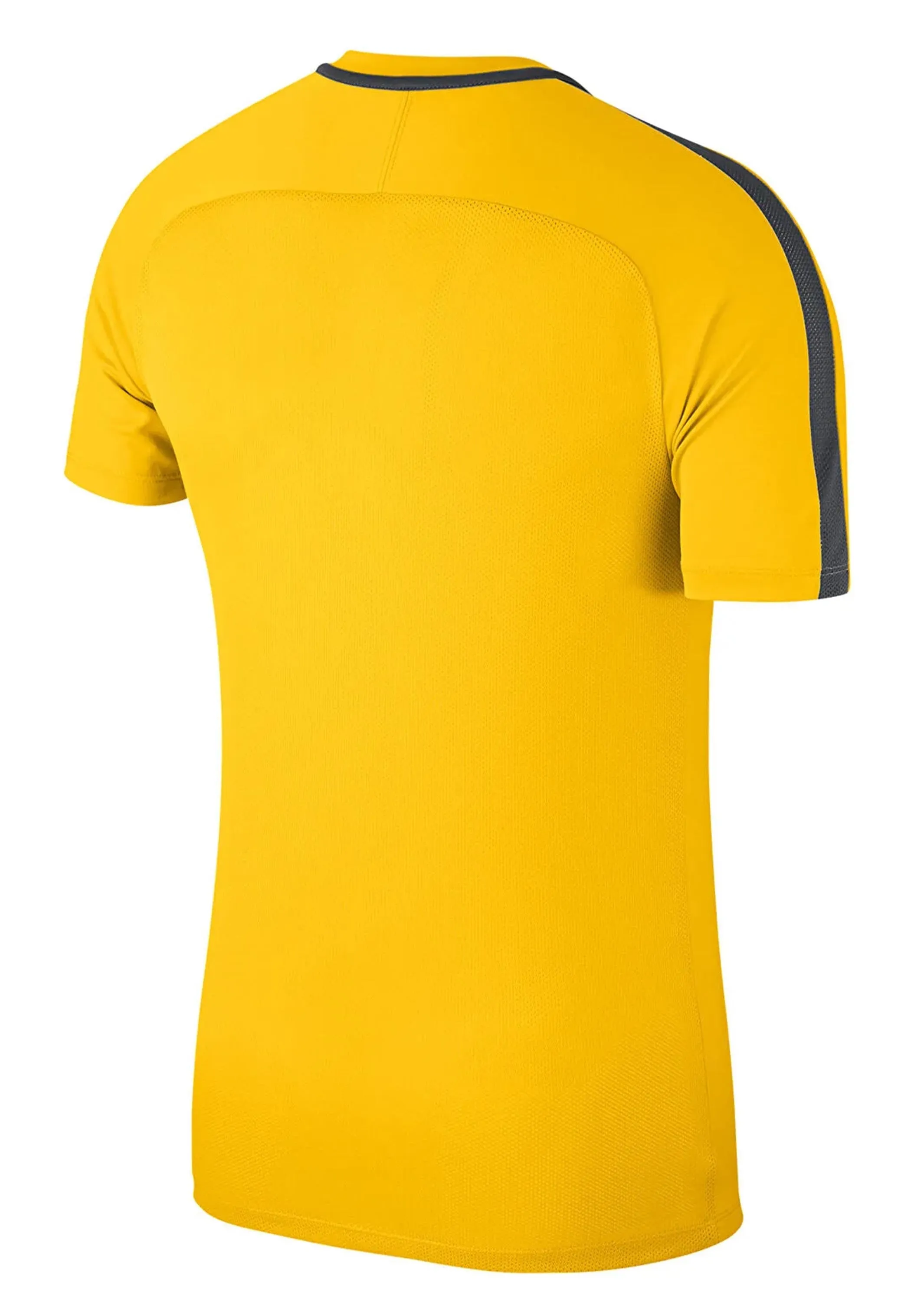 Nike Men's Academy 18 S/S Top <br> 893693 719